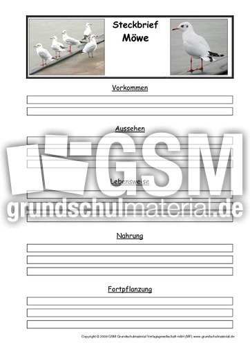 Steckbriefvorlage-Möwe.pdf